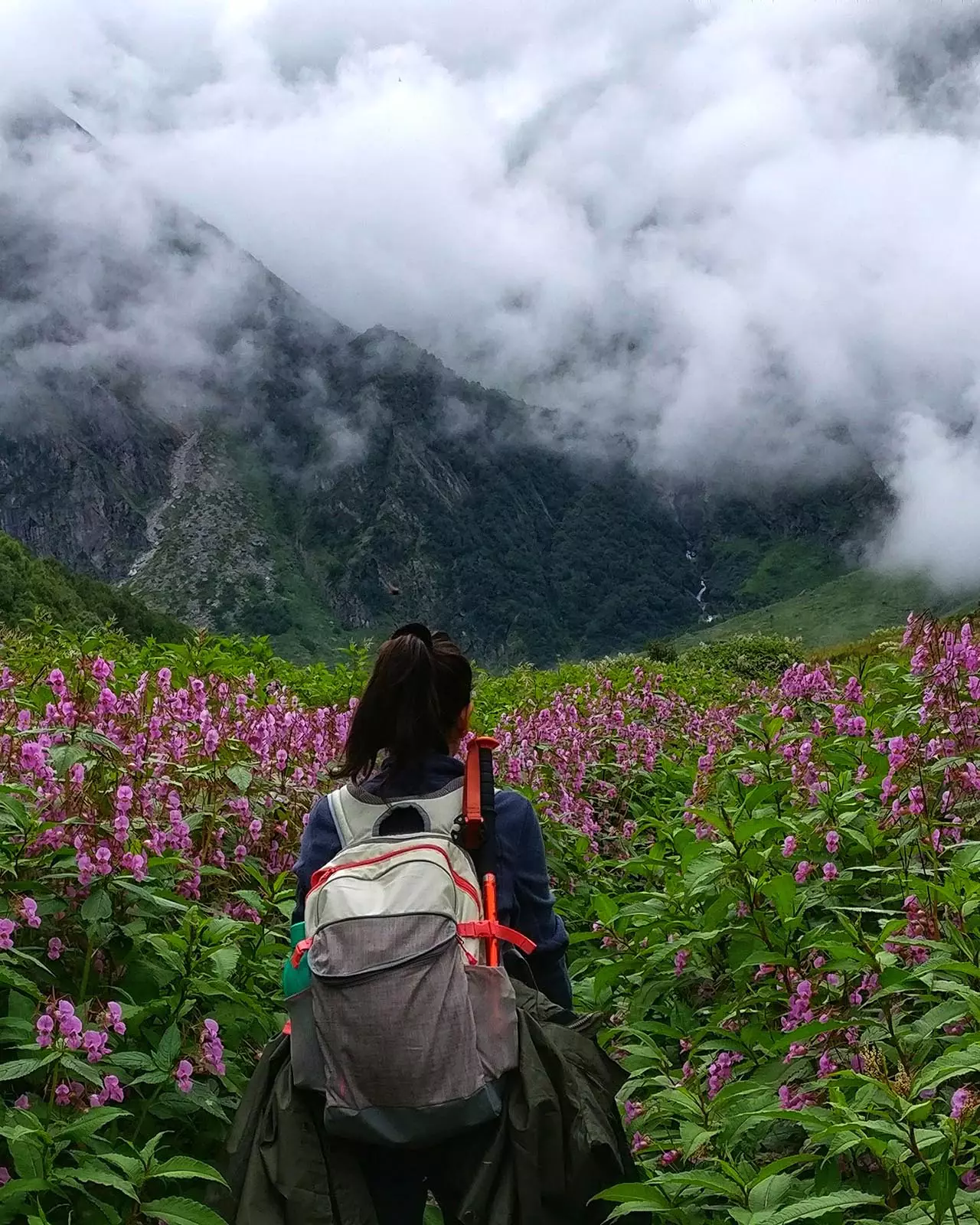 ZieDIvPdc1huKsih_ValleyOfFlowers_VOF_KentPawar-HikerontheValleyofflowerstrail-1-